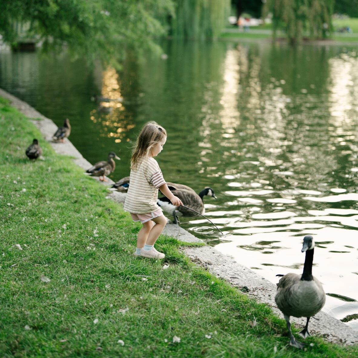 girl near duck pond